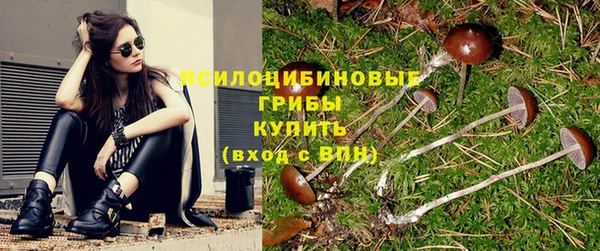 герыч Горняк