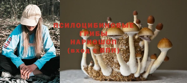 герыч Горняк
