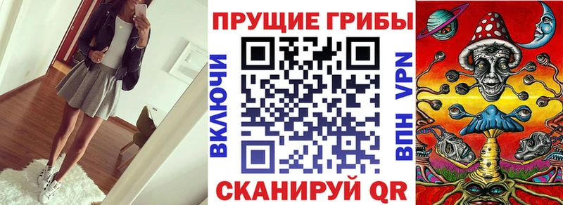 Купить закладки  Монино  Галлюциногенные грибы GOLDEN TEACHER 